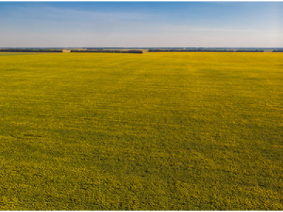 Ідеальне рішення для ваших полів