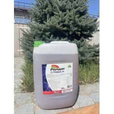 Гербіцид Раундап Енерджі Макс 20 л