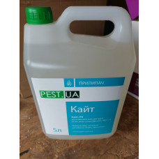 Прилипач Кайт